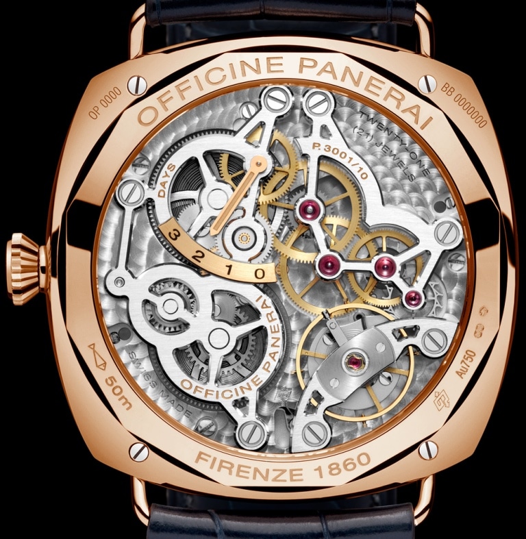PAM 598 Rückseite cut lres
