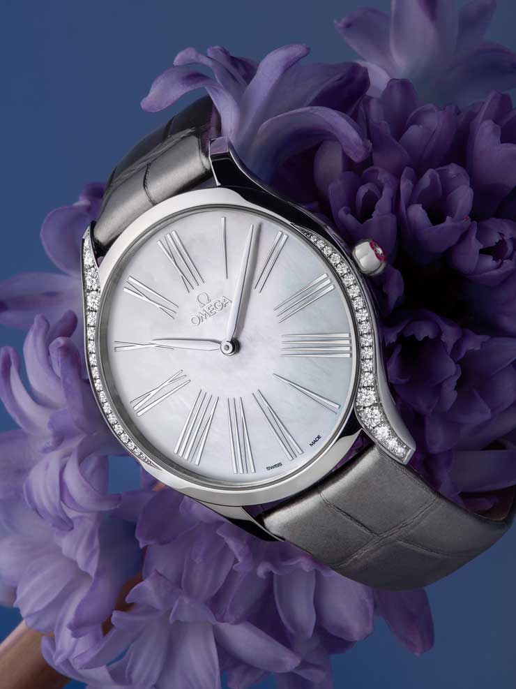 Omega Trésor-Modelle omega 428.18.39.60.05