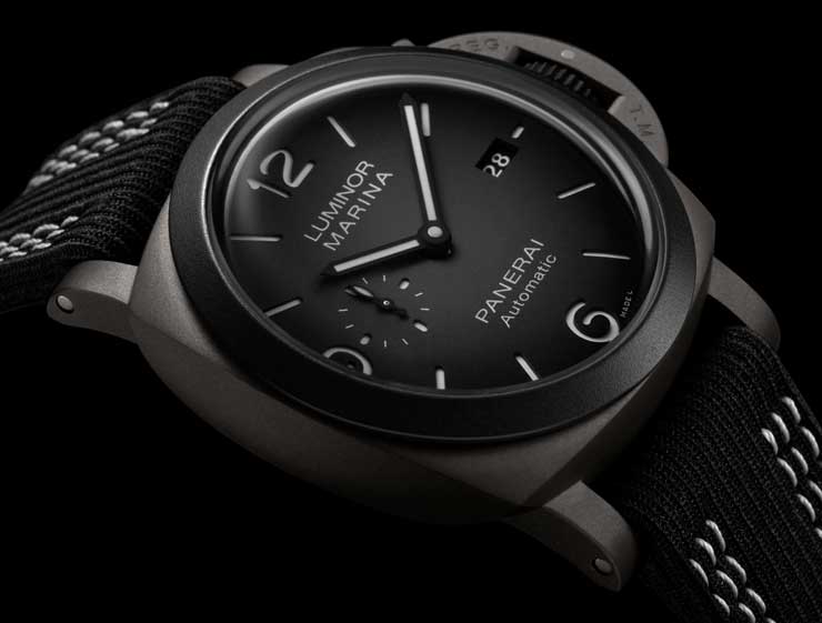 740.pam1122 Cat Dett01 B 20