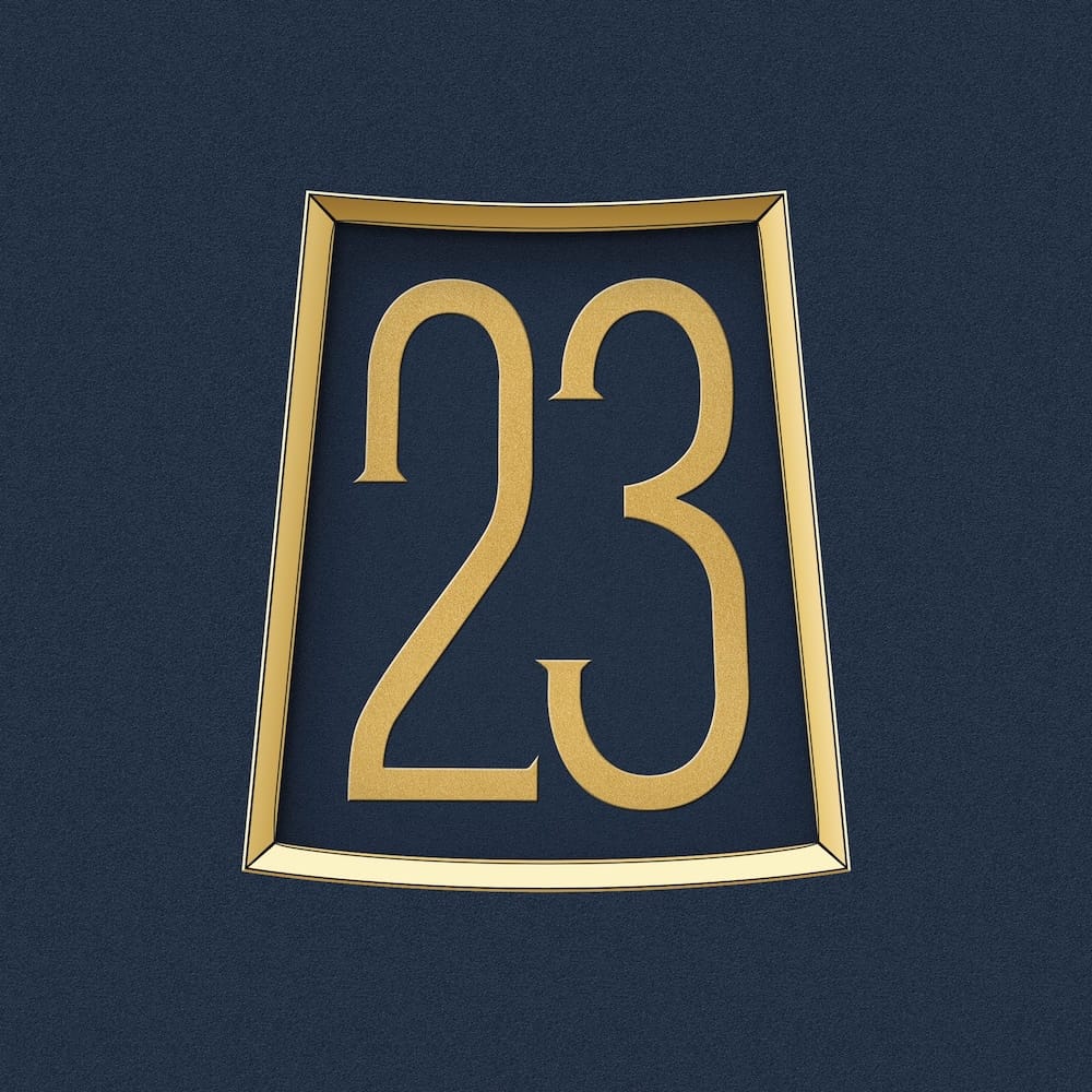 23